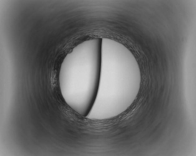 X0000116840818200912181112