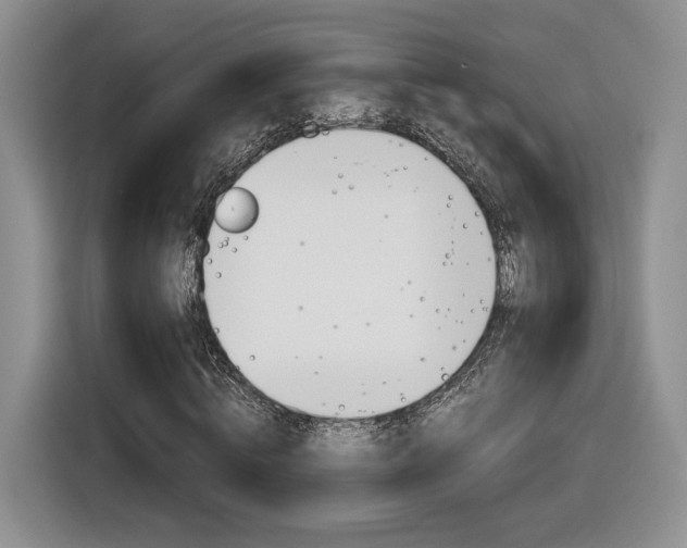 X0000116840820200912181112