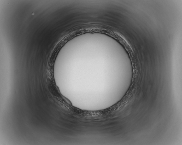 X0000116840823200912181112