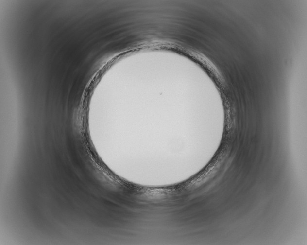 X0000116840828200912181112