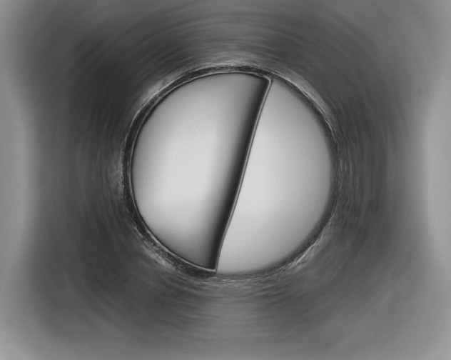 X0000116840834200912181113