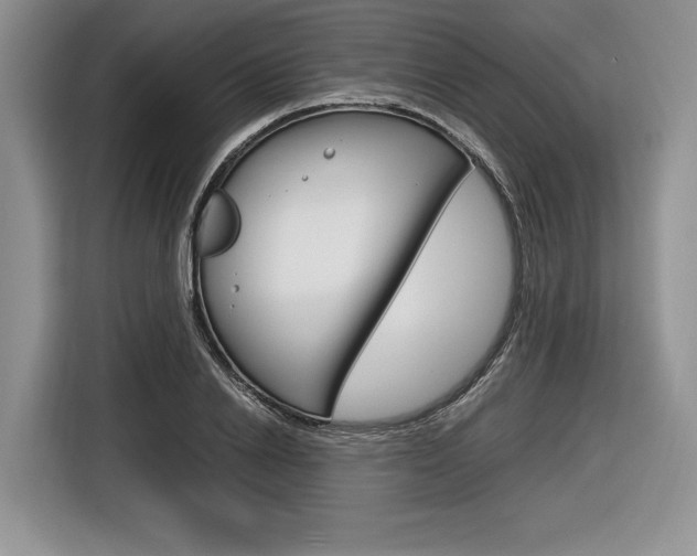 X0000116840838200912181113