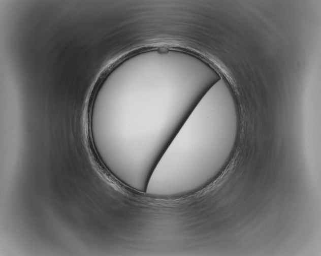 X0000116840840200912181113