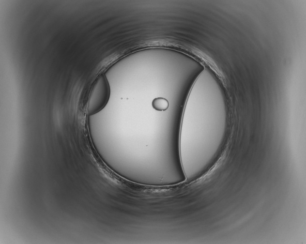 X0000116840841200912181113