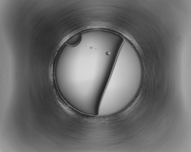 X0000116840842200912181113