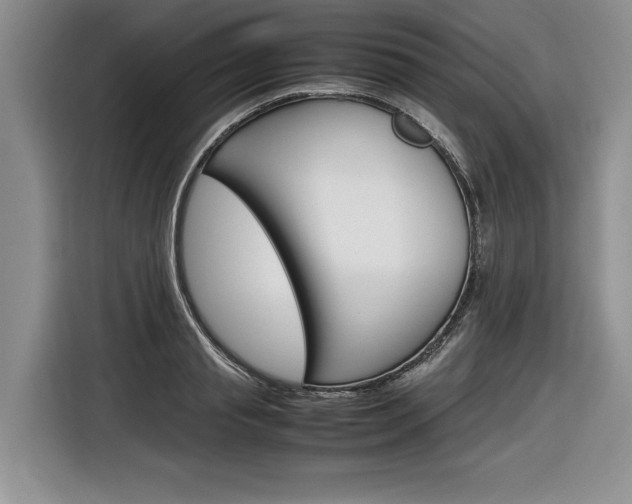 X0000116840845200912181113