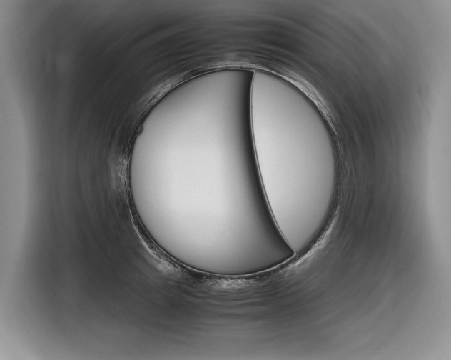 X0000116840849200912181113