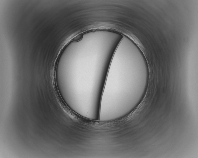 X0000116840850200912181113