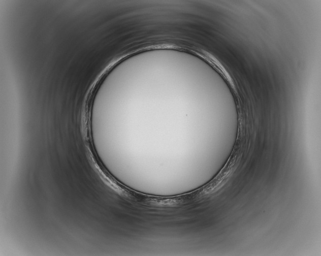 X0000116840851200912181113