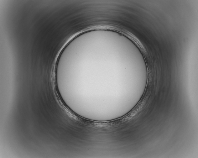 X0000116840852200912181113