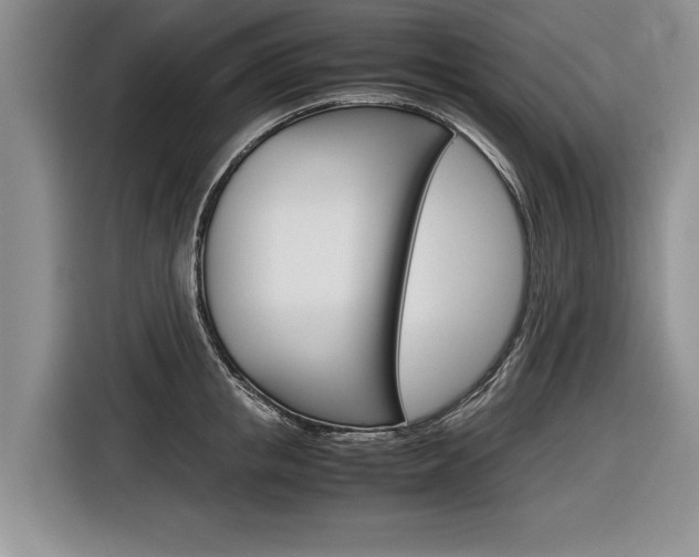 X0000116840853200912181113