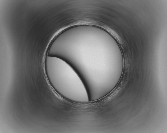 X0000116840854200912181113