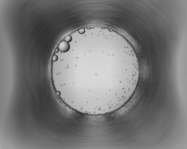 X0000116840856200912181113