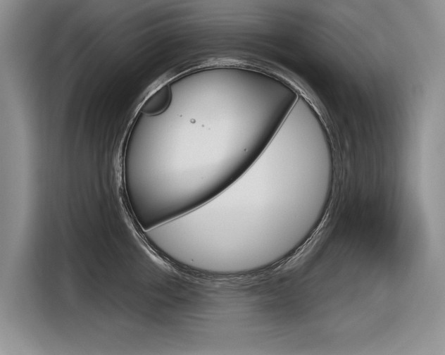 X0000116840858200912181113