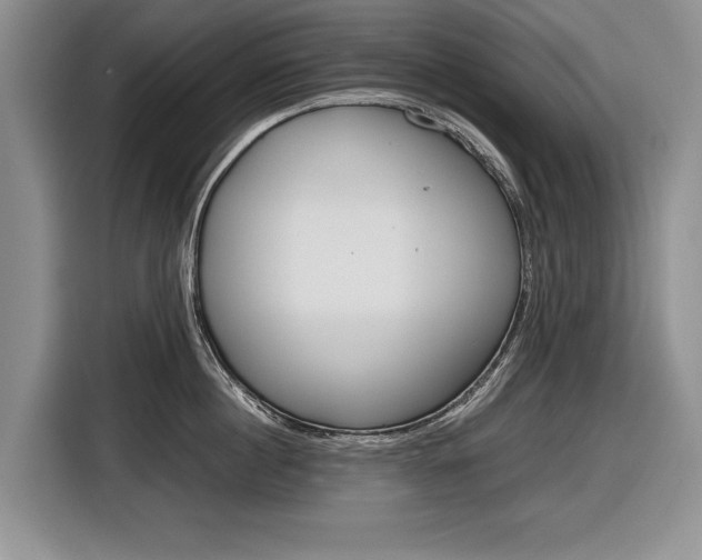 X0000116840860200912181113