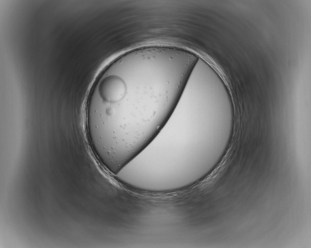 X0000116840862200912181113