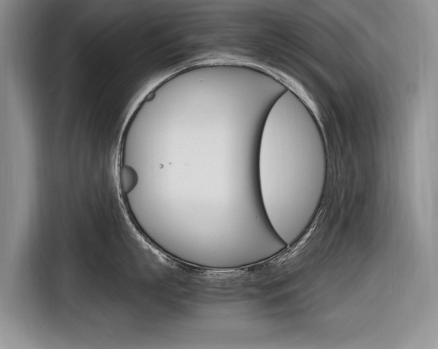 X0000116840863200912181113