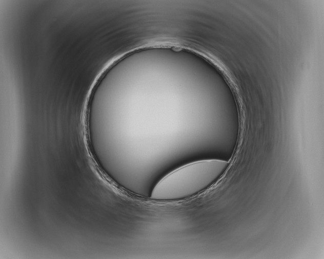 X0000116840864200912181113