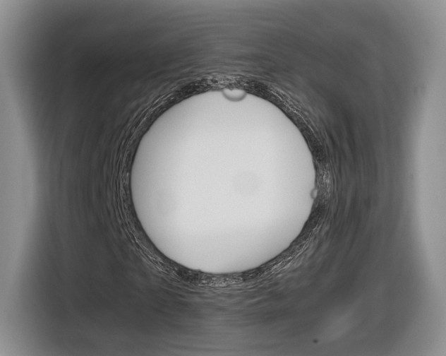 X0000116840865200912181112