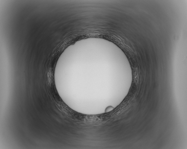 X0000116840866200912181112