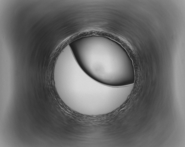 X0000116840872200912181112