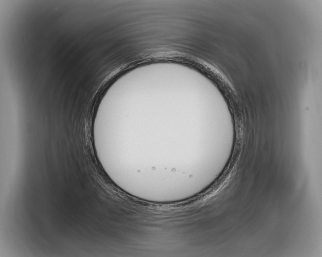 X0000116840873200912181112