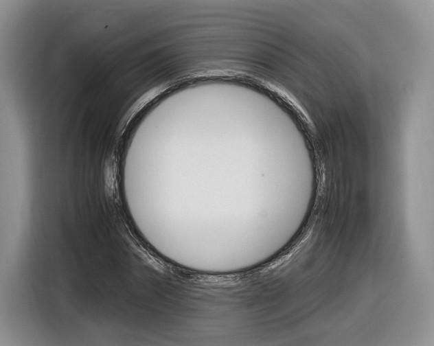 X0000116840874200912181112