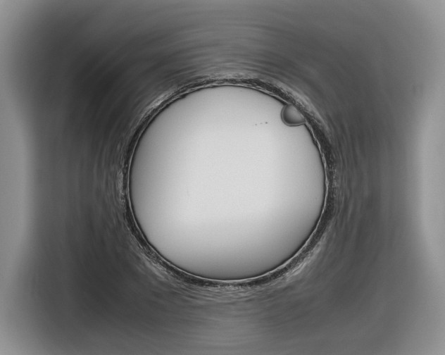 X0000116840881200912181112