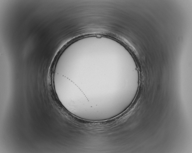 X0000116840883200912181112