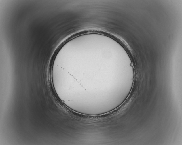 X0000116840887200912181112