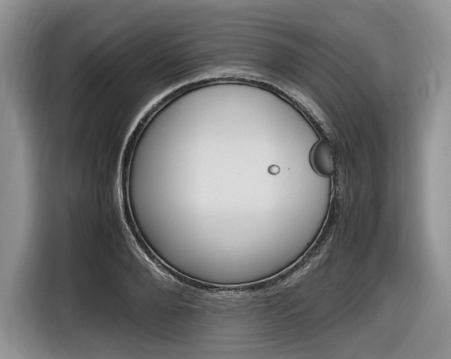 X0000116840888200912181112