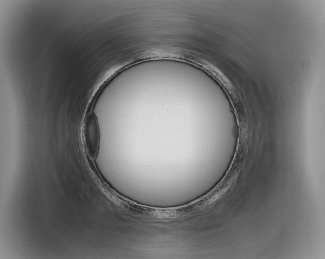 X0000116840893200912181112