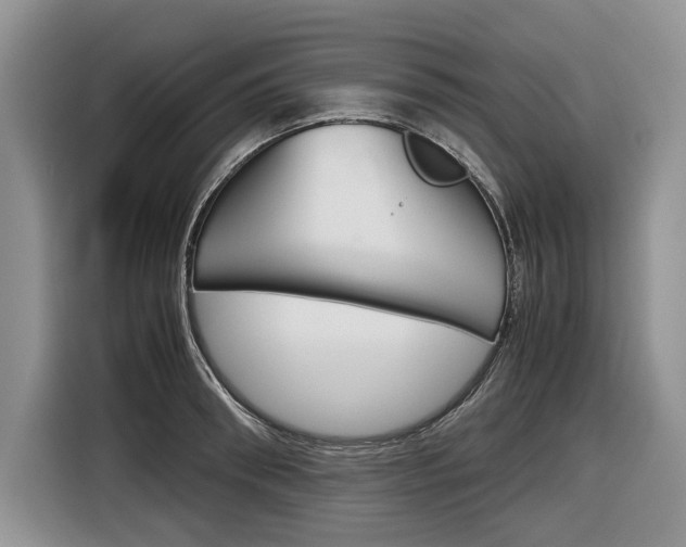 X0000116840898200912181112