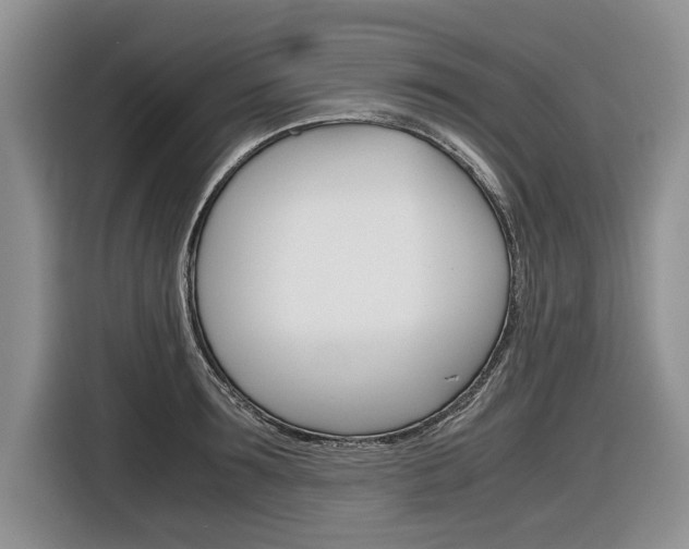X0000116840899200912181112