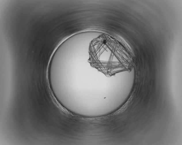 X0000116840900200912181112