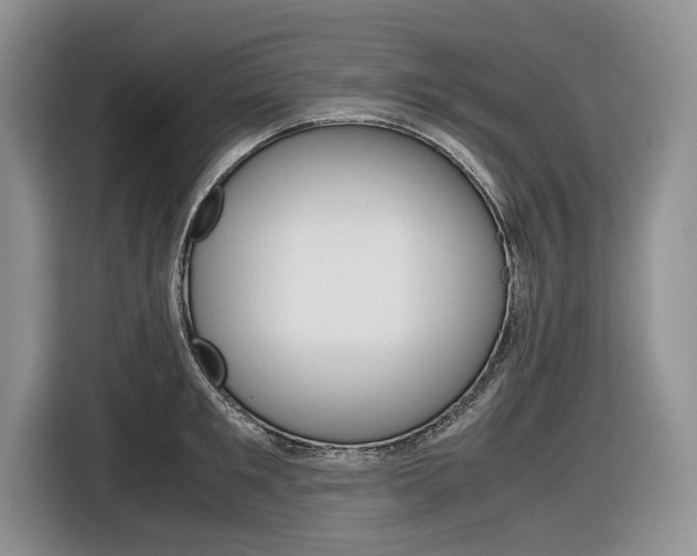 X0000116840901200912181112
