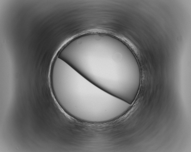 X0000116840902200912181112