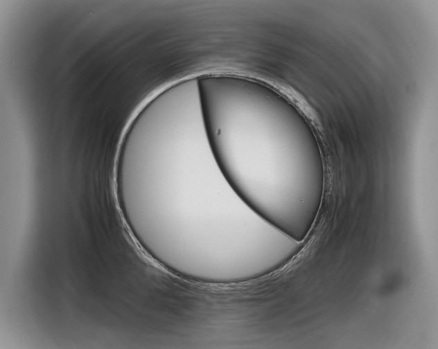 X0000116840904200912181112