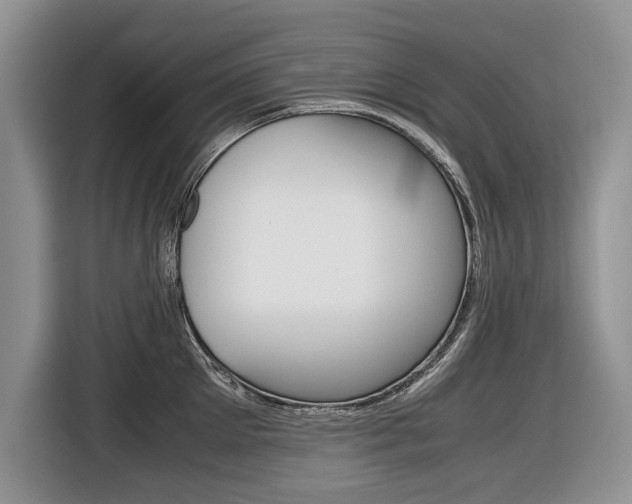 X0000116840905200912181112