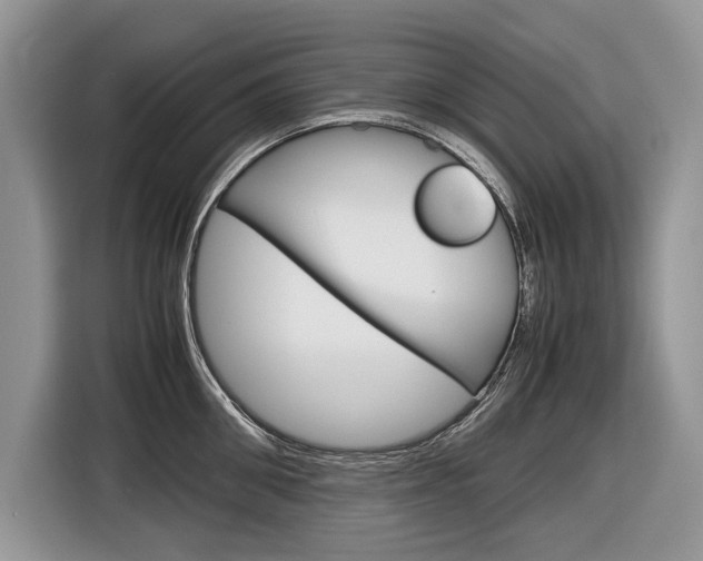 X0000116840906200912181112