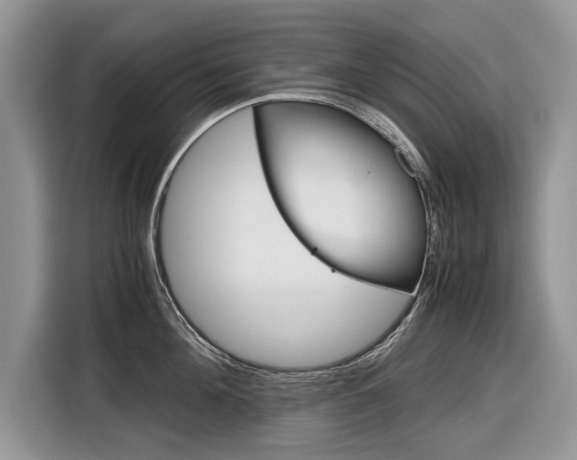 X0000116840908200912181112