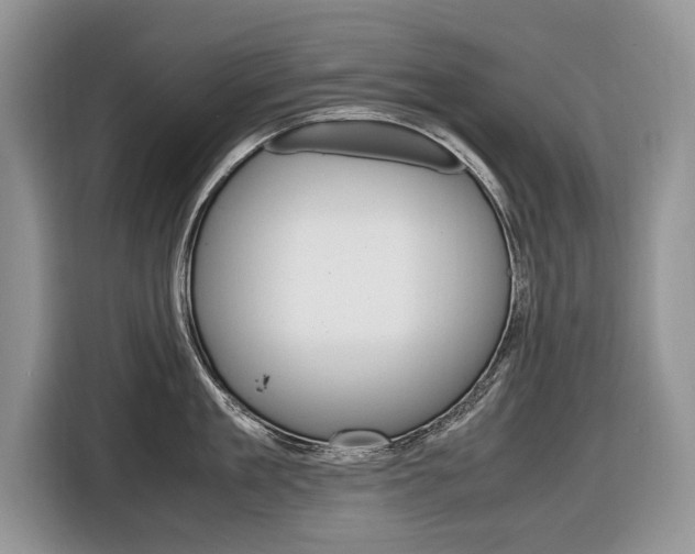 X0000116840909200912181112