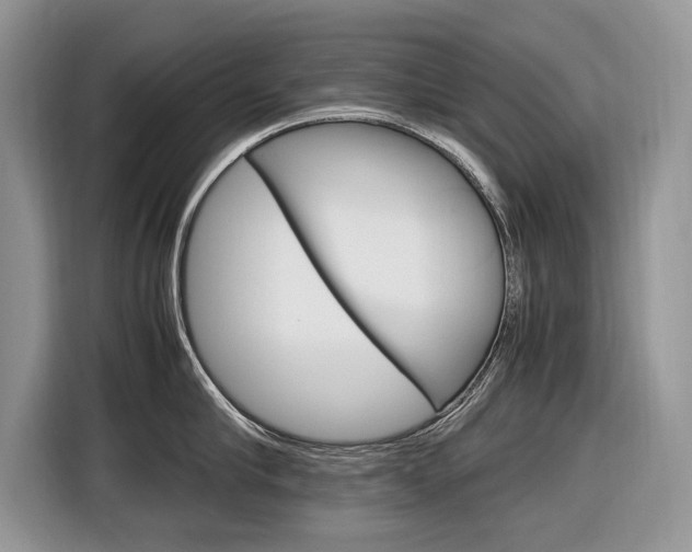 X0000116840910200912181112