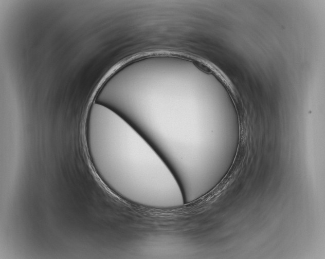 X0000116840911200912181112