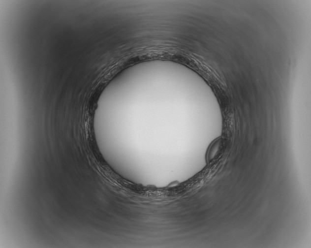 X0000116840914200912181111