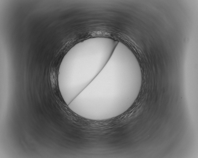 X0000116840915200912181111