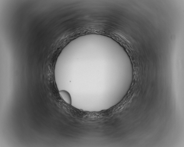 X0000116840917200912181111