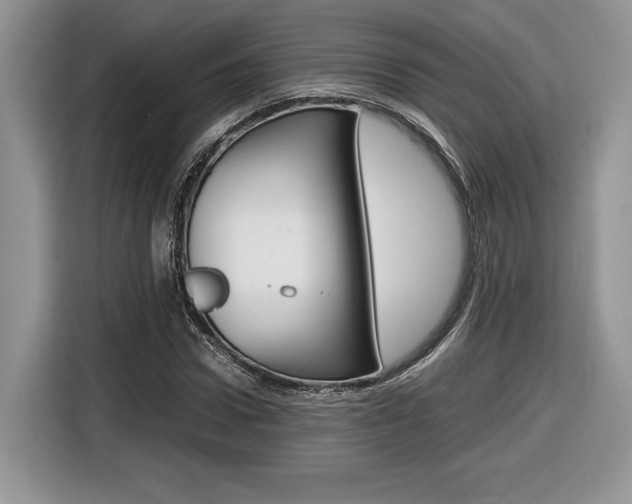 X0000116840922200912181111