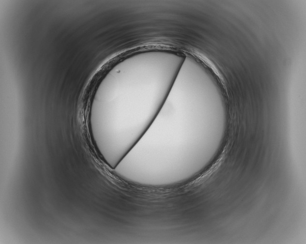 X0000116840923200912181111