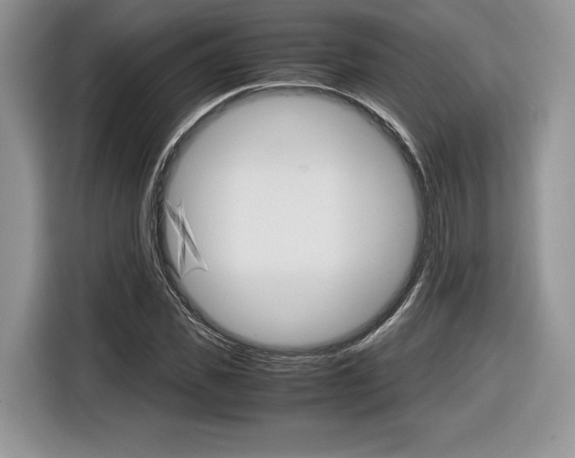 X0000116840925200912181111